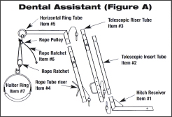 dental